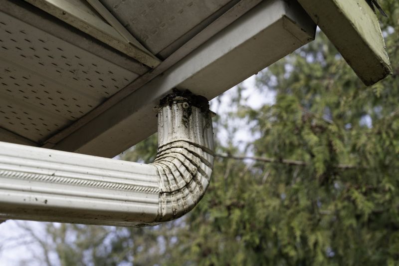 Cleaning Gutter Downspouts