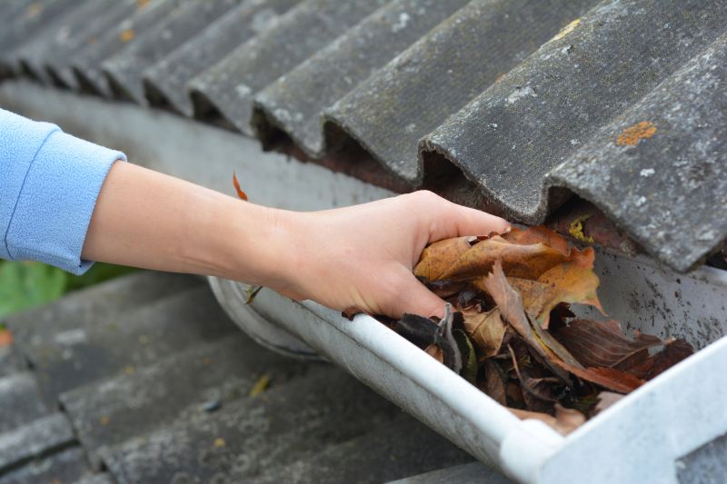 Inspecting Gutters