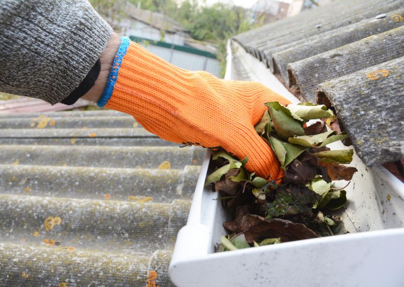 Leaf Gutter Cleaning