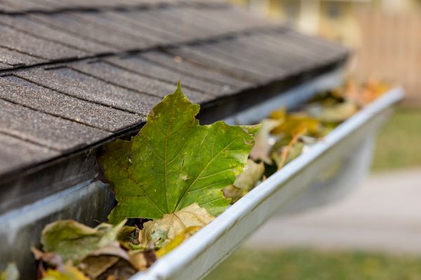 Commercial Downspout Cleaning in Destin