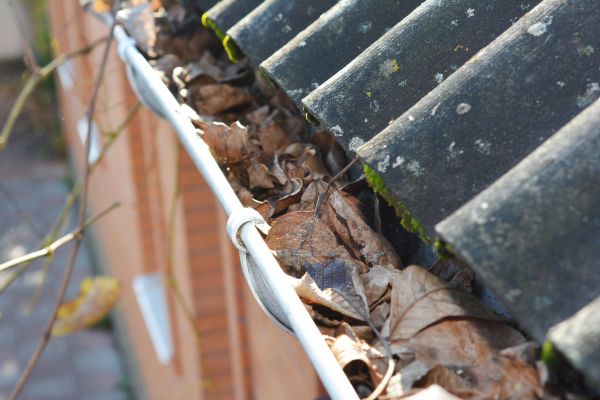 Home Gutter Cleaning in Destin