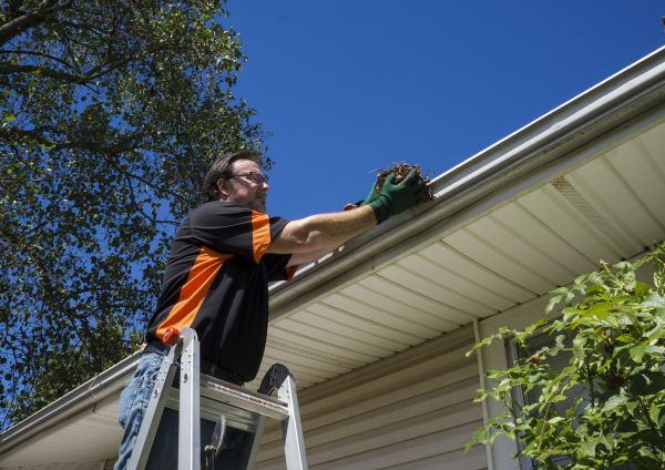 Cost of Eavestrough Clearing in Destin