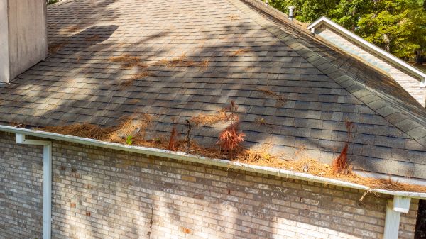 Cost of Gutter Pine Needle Removal in Destin