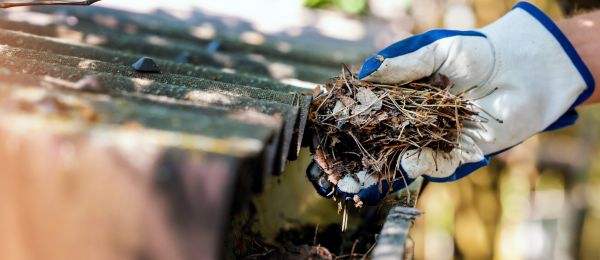 Pine Needle Gutter Cleaning in Destin